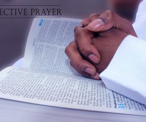 The Efficacy of Prayer