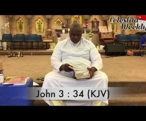 The 5-fold ministry of the Celestial Church of Christ