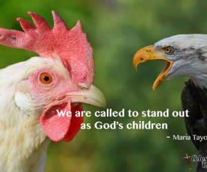 You are made to stand out, not fit in