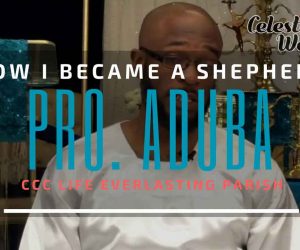 How I became a Shepherd – Pro Aduba of Life Everlasting Parish