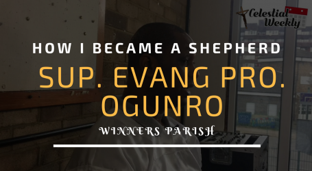 How I became a Shepherd – Sup. Evang. (Pro.) Samuel Ogunro of Winners Parish