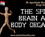 The Spine, The Brain and Body Organs